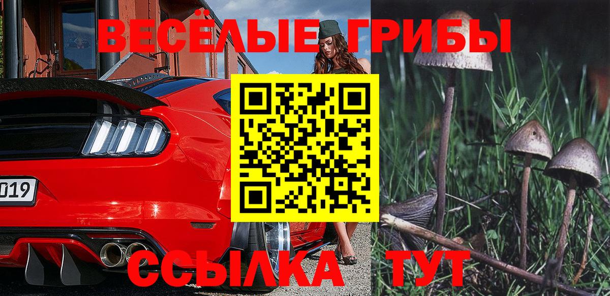 где можно купить   Псилоцибиновые грибы Psilocybe  Тимашёвск  Вход с VPN  Галлюциногенные грибы мухоморы 