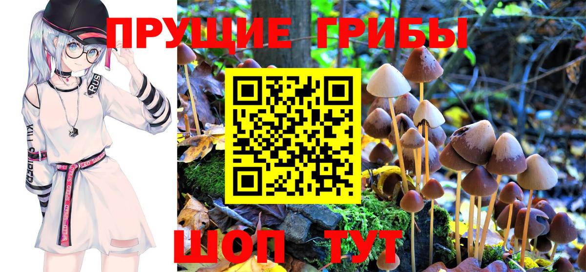Галлюциногенные грибы GOLDEN TEACHER Тимашёвск